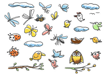 Set of birds, insects