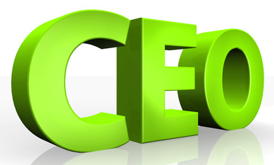 3D ceo text on white background