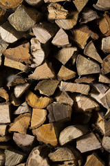 firewood / Dry firewood in a pile for furnace kindling