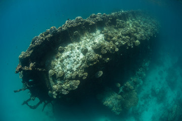 Shipwreck Underwater
