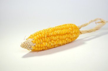 corn