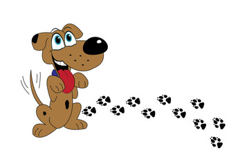 Cute dog standing on hind