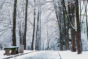 beautiful winter