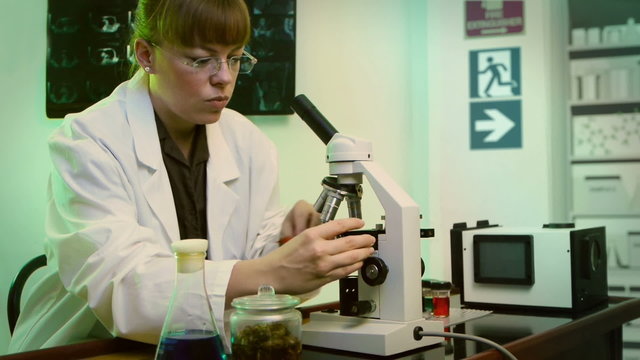 Female Scientist On Microscope
