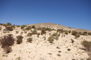 Fototapeta na wymiar Sand dunes and mountains near Sotavento beach on Jandia peninsul
