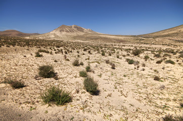 Sand dunes and mountains near Sotavento beach on Jandia peninsul