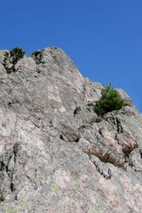 Relais