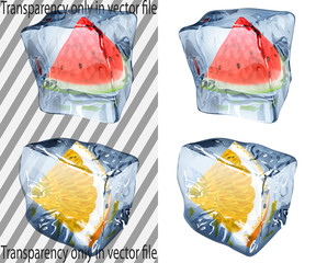 Transparent and opaque ice cubes with watermelon and orange
