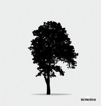 Tree silhouette. Vector illustration.