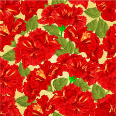 Seamless texture red hibiscus vector