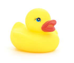 Rubber duck.