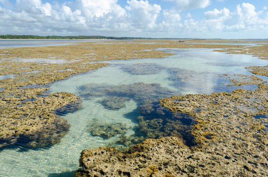 Natural pool in Toque beach, Brazil