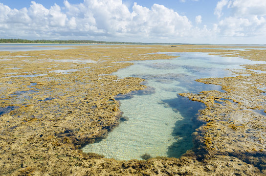 Natural pool in Toque beach, Brazil