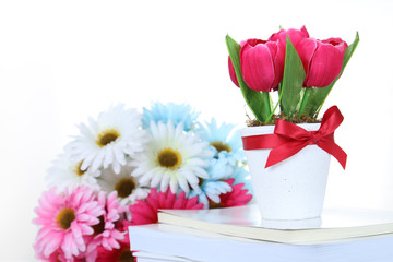 Red tulip bouquet on the books, isolated on white background