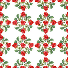 Floral colorful roses flowers pattern on white background