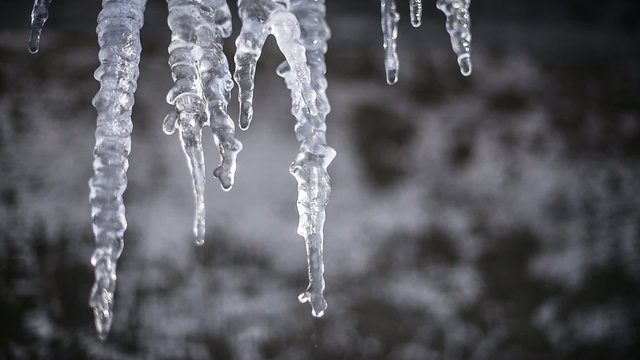 The icicle melts