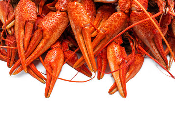 appetizing red crawfish