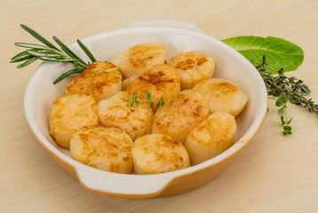 Grilled scallops