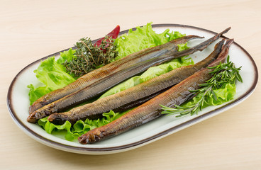 Lamprey