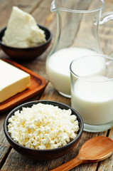 dairy products. cottage cheese, butter, milk, cheese