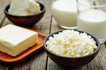 dairy products. cottage cheese, butter, milk, cheese