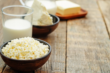 dairy products. cottage cheese, butter, milk, cheese