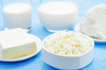 dairy products. cottage cheese, butter, milk, cheese