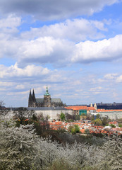 View on the spring Prague with gothic Castle, Czech Republic
