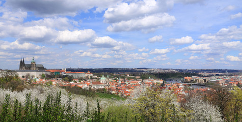 Obraz premium View on the spring Prague with gothic Castle, Czech Republic