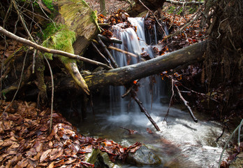Autumn springs