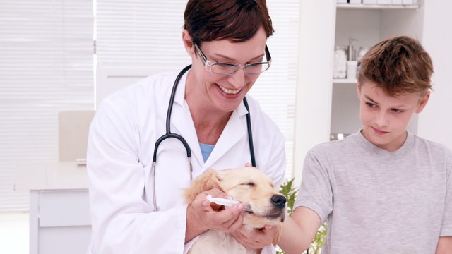 Smiling female vet examining cute puppy