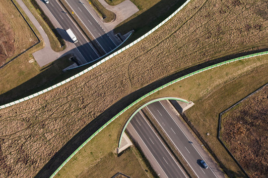 Aerial View Of Highway  Animal Bridge