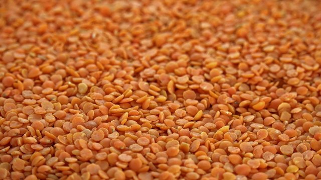 Rotating Red Lentils (seamless loopable 4K footage)