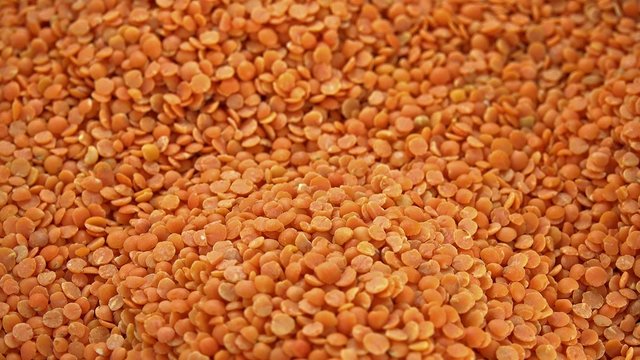 Rotating Red Lentils (loopable)