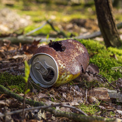 rusty can in the forest