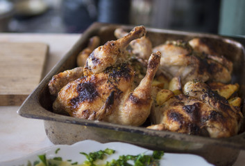 Grilled chicken and potatoes