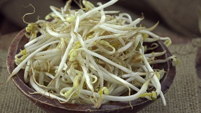 Portion of Mungbean Sprouts (loopable)