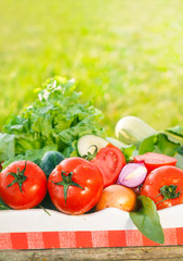 fresh organic vegetables in garden