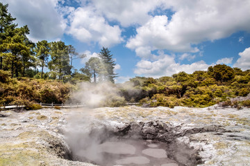 Wai-o-Tapu Geothermal Gebiet
