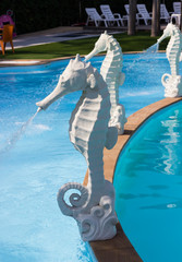 white seahorse statue fountain © 88studio