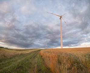 wiosenne pole © Mike Mareen