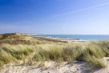Fototapeta na wymiar The dunes, Zoutelande, the Netherlands