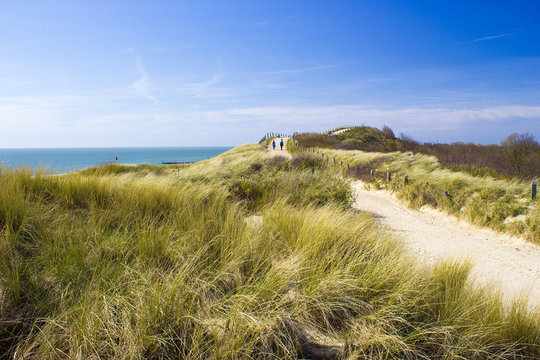 Path trough the dunes, Zoutelande, the Netherlands