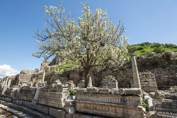 Ephesus