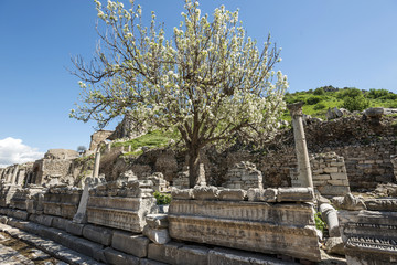 Ephesus