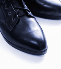 Female shoes on a white background