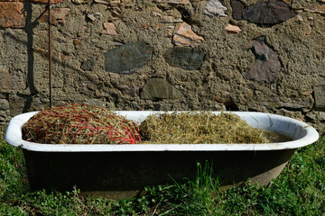 Heu w&auml;ssern, q.