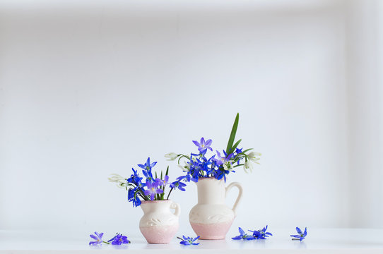 Still life with spring blue flowers
