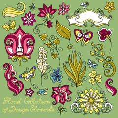 Fototapeta premium Vector Floral Collection of Hand Drawn Design Elements