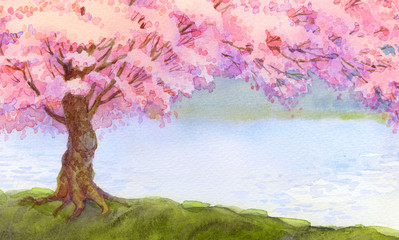 Watercolor landscape. Flowering pink tree by lake